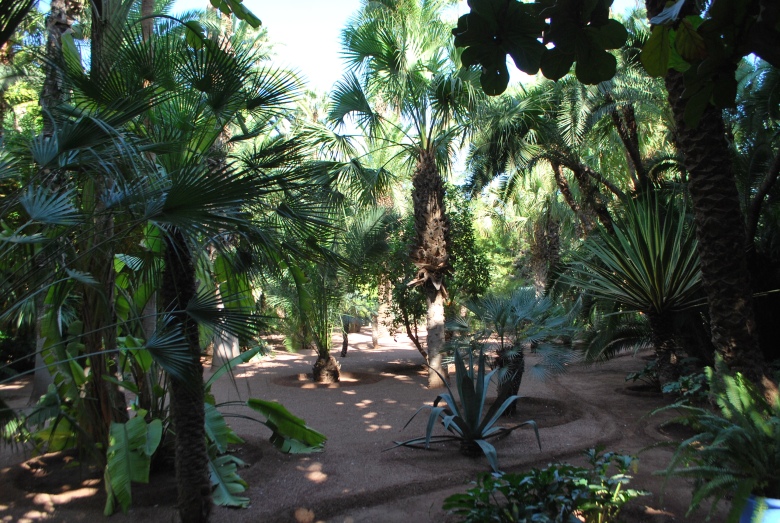 jardin de majorelle marrakech